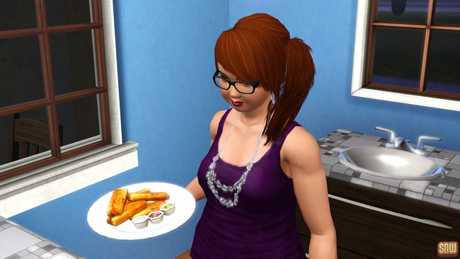 Koning Krokant Pro Friteuse en Vrieshap Pro IJsmachine (premium content voor De Sims 3)