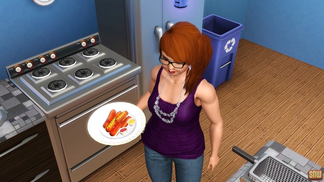 Koning Krokant Pro Friteuse en Vrieshap Pro IJsmachine (premium content voor De Sims 3)