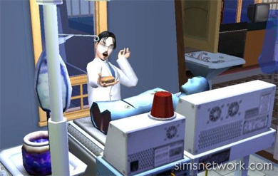 The Sims 2