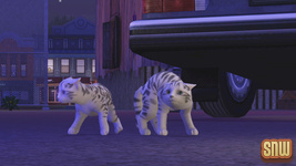 The Sims 3 Pets