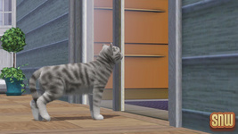 The Sims 3 Pets