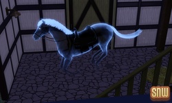 De Sims 3 Beestenbende: Estela het spookpaard