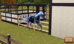 De Sims 3 Beestenbende: Estela Marshall het spookpaard