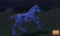 De Sims 3 Beestenbende: GooGoo het paard