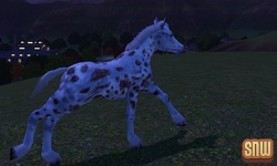 De Sims 3 Beestenbende: GooGoo het paard