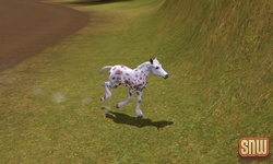 De Sims 3 Beestenbende: GooGoo het paard