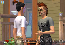 De Sims 2