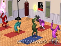 De Sims 2