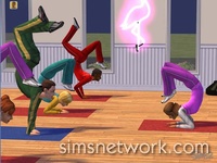 The Sims 2