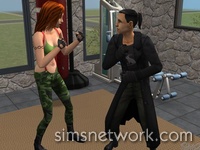 De Sims 2