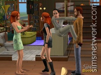 The Sims 2